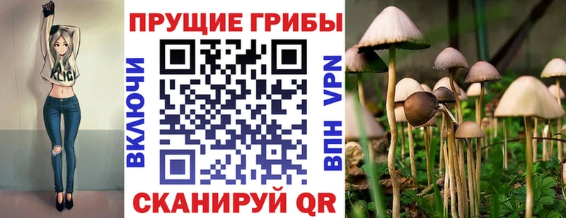 Псилоцибиновые грибы Magic Shrooms  закладки  Новотитаровская 
